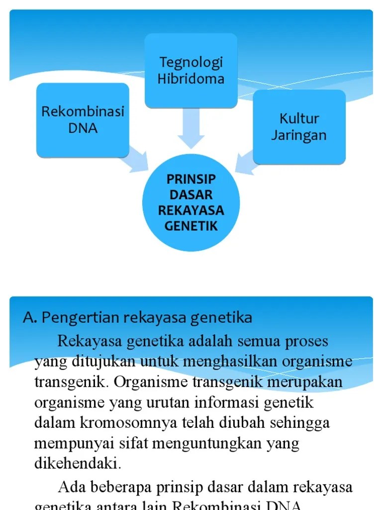 Prinsip Perekayasaan | PDF