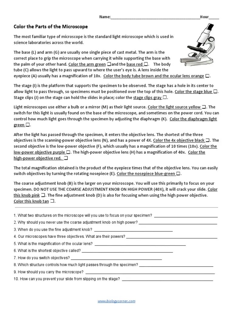 Color The Parts of The Microscope | PDF | Glass Engineering And Science