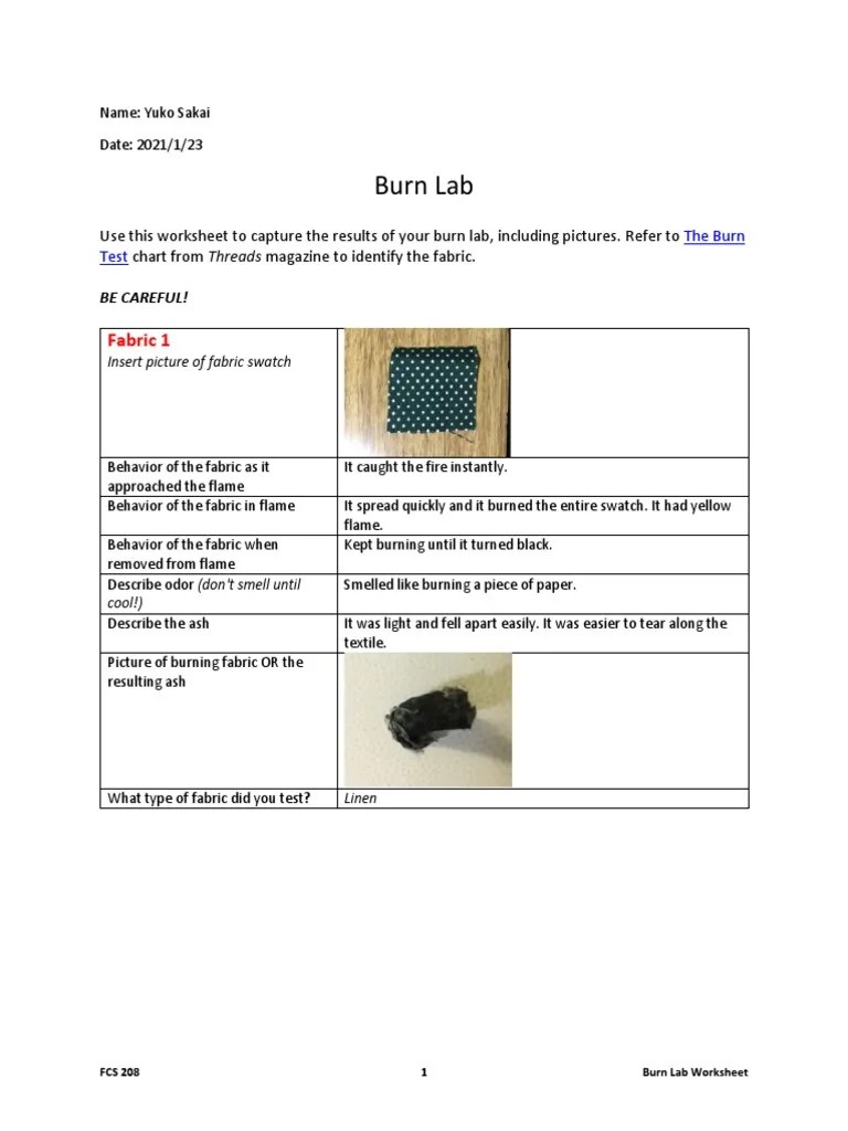 w03 Burn-Lab-Worksheet | PDF