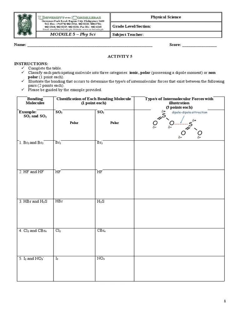 MODULE 5 Assessment | PDF