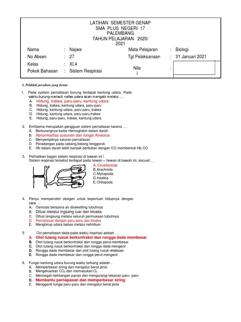 Najwa (27) - Latihan Sistem Pernapasan | PDF