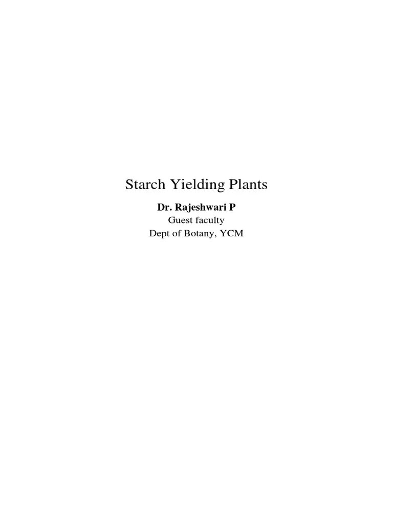 Starch Yielding Plants PDF Starch Potato