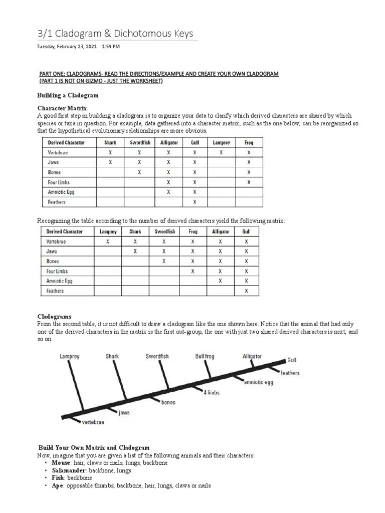 Cladogram and Dichotomous Keys PDF Nature