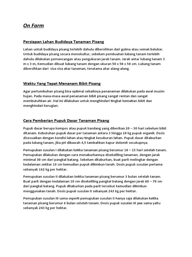 Budidaya Pisang | PDF