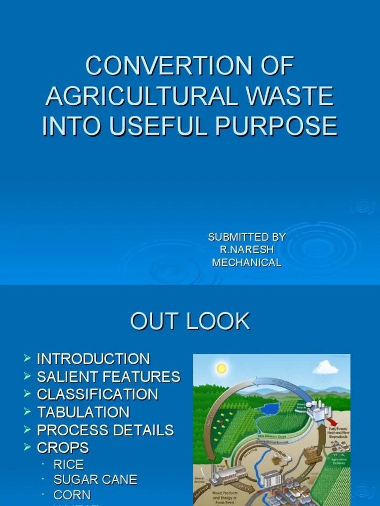 Convertion of Agricultural Waste Into Useful Purpose PDF