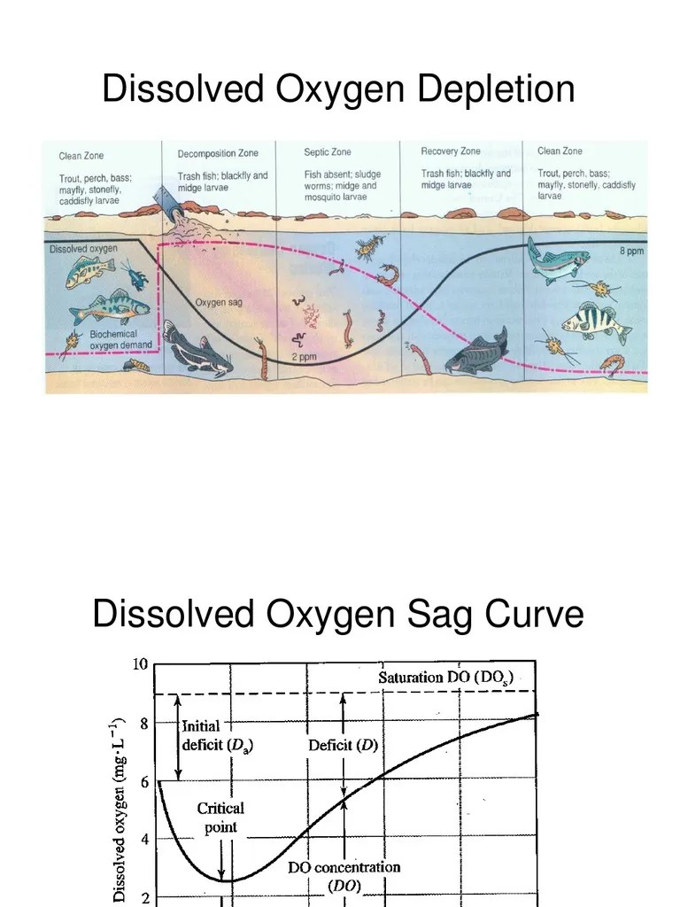 oxygen sag curve | Transparent Materials | Gases