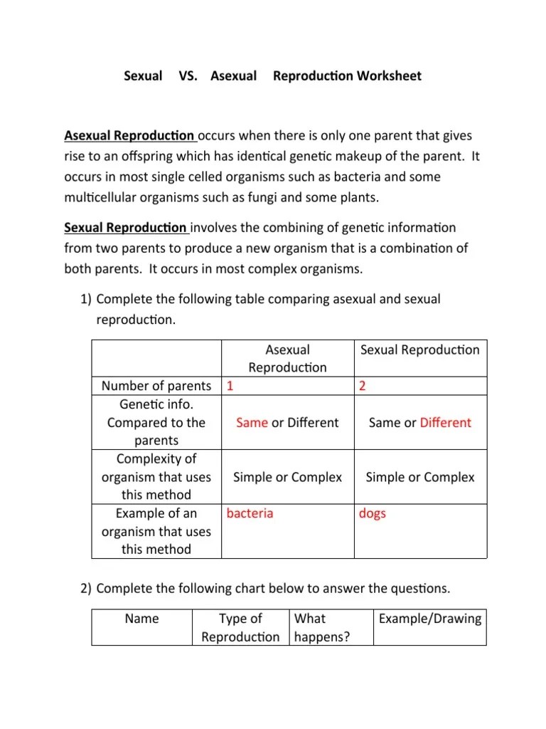 Sexual Vs Asexual Reproduction Worksheet1 PDF Sexual Reproduction Fertilisation