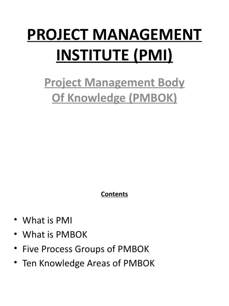 Project Management Institute (Pmi) PDF Project Management