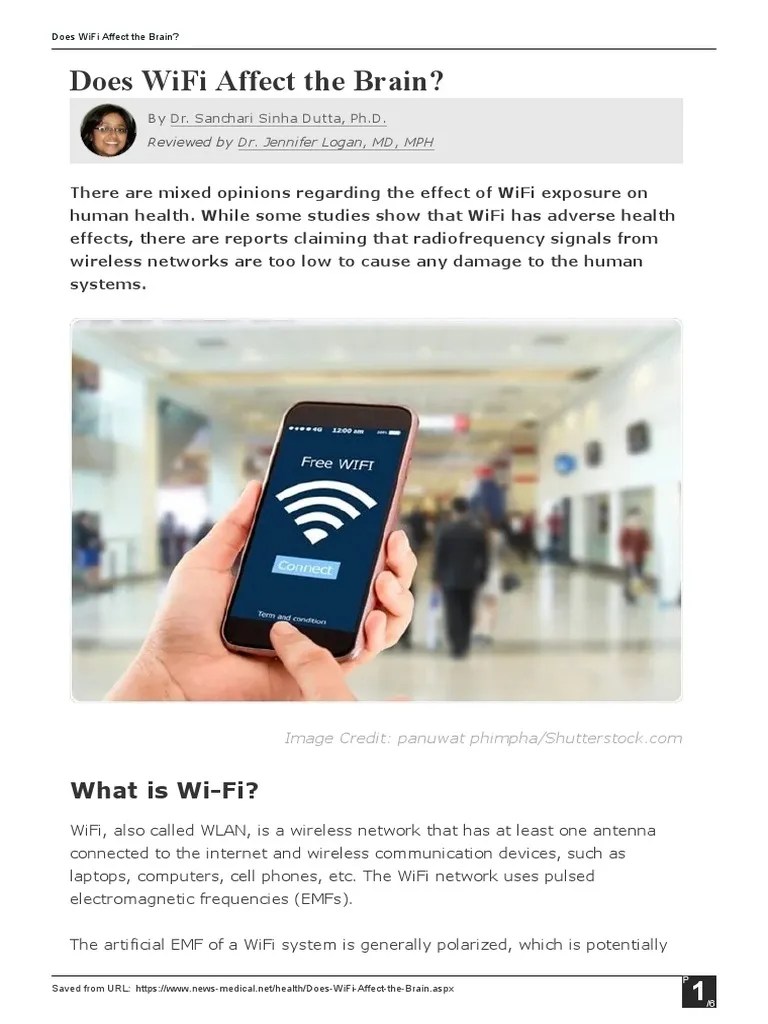 Does WiFi Affect The Brain PDF Wi Fi Brain