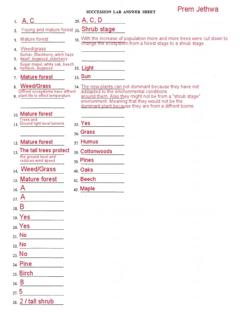 Lab - Ecological Succession (Answer Sheet) | PDF
