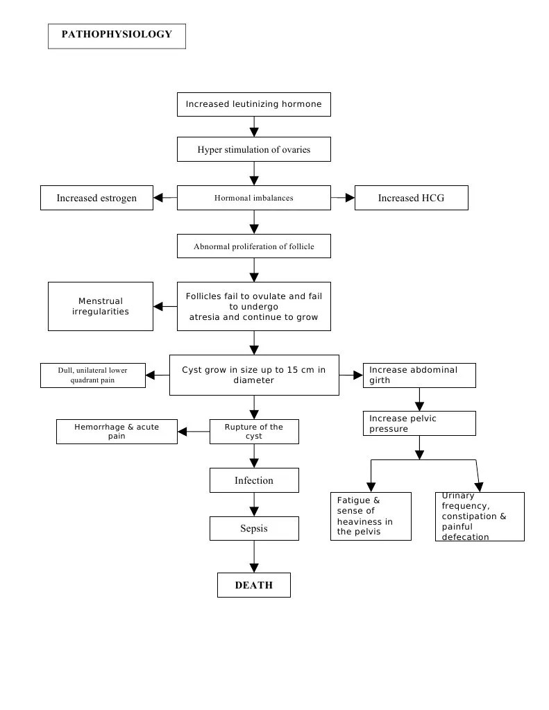 PATHOPHYSIOLOGY OVARIAN CYST