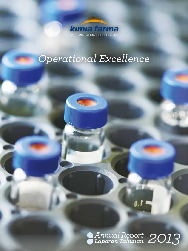 Annual Report KAEF 2013 | PDF