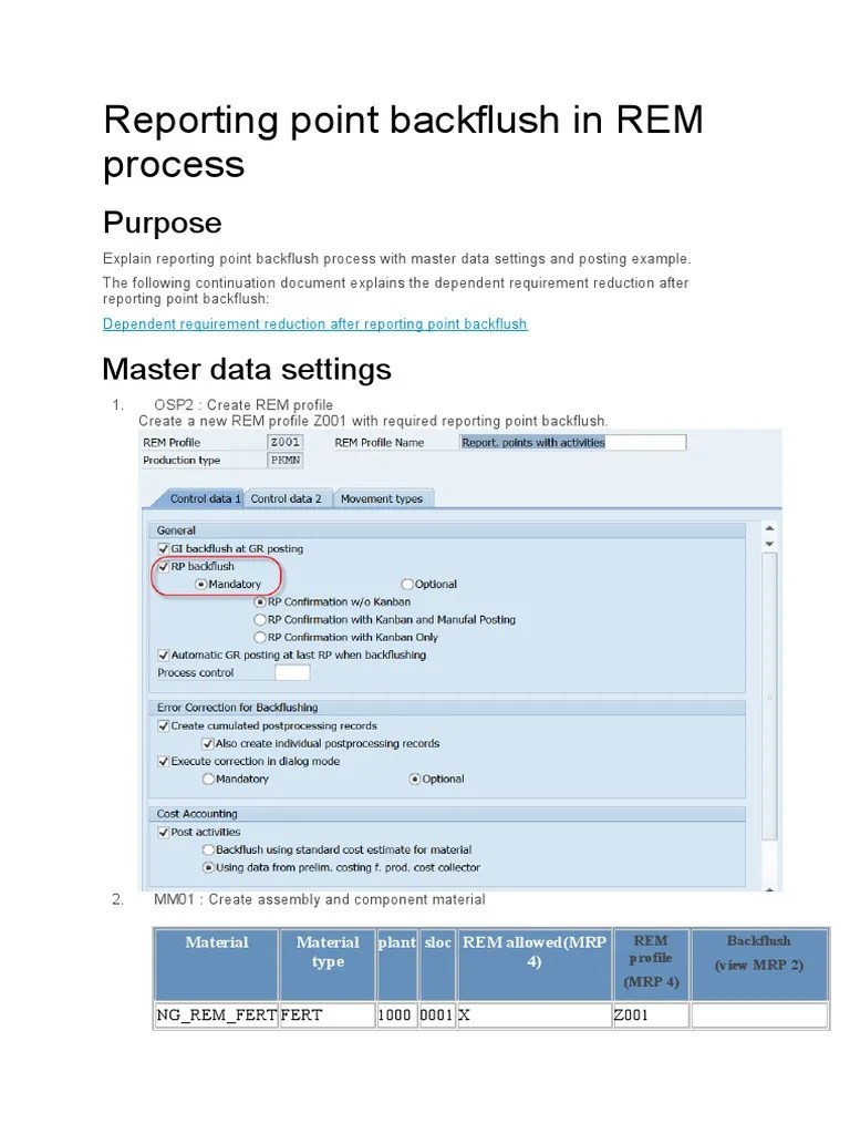 Reporting Point Backflush in REM Process Purpose PDF Information Technology Management