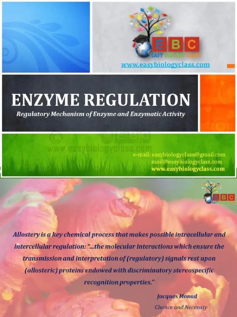 Regulatory Enzymes PPT by Easybiologyclass PDF