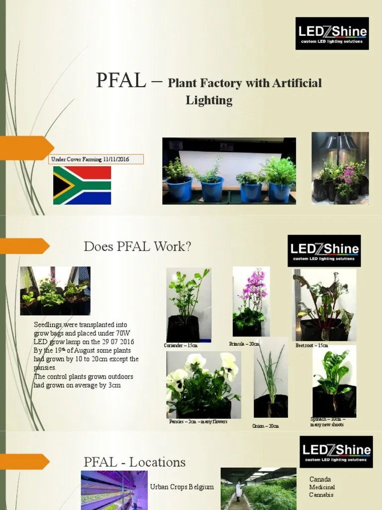 Pfal Plant Factory With Artificial Lighting PDF Vegetables Plants
