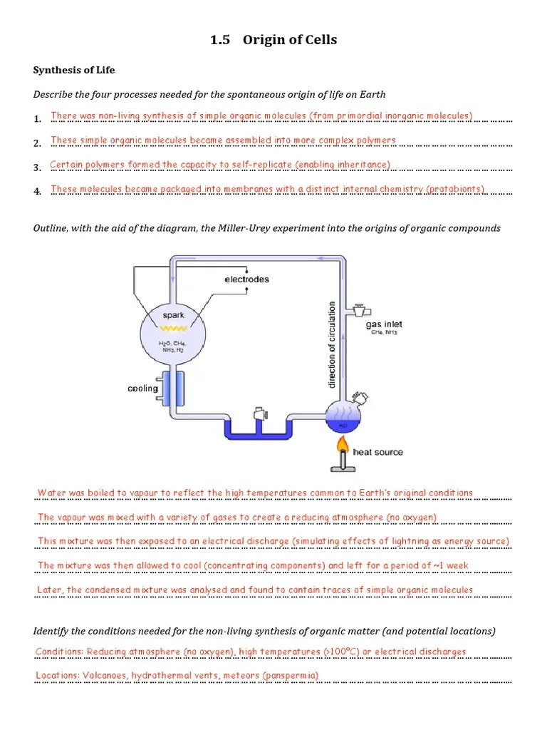 Bio Topic 1.5 Worksheet (Answers) | PDF | Chloroplast | Cell (Biology)