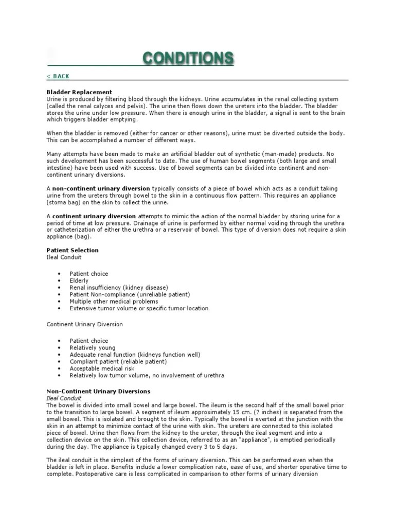 Ileal Conduit English PDF Genitourinary System Diseases Urinary