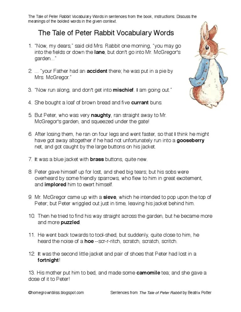Peter Rabbit Vocabulary Words in Sentences PDF