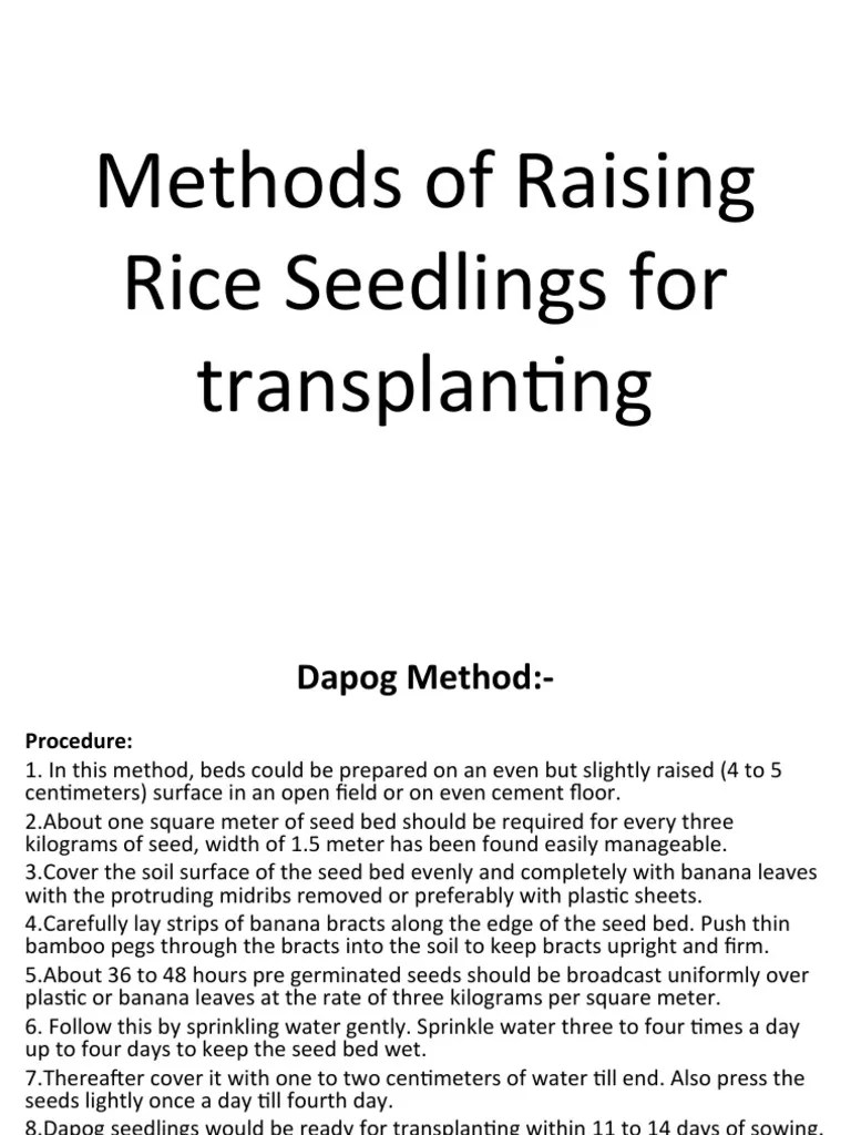 Methods of Raising Rice Seedlings A Comparison of the Dapog, Dry Bed