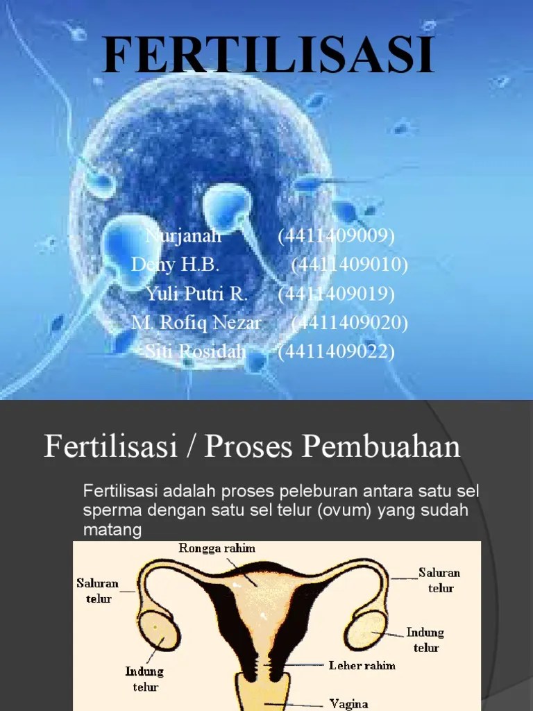 FERTILISASI | PDF