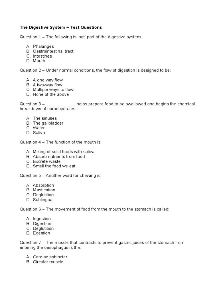 The Digestive System Test Questions PDF Human Digestive System