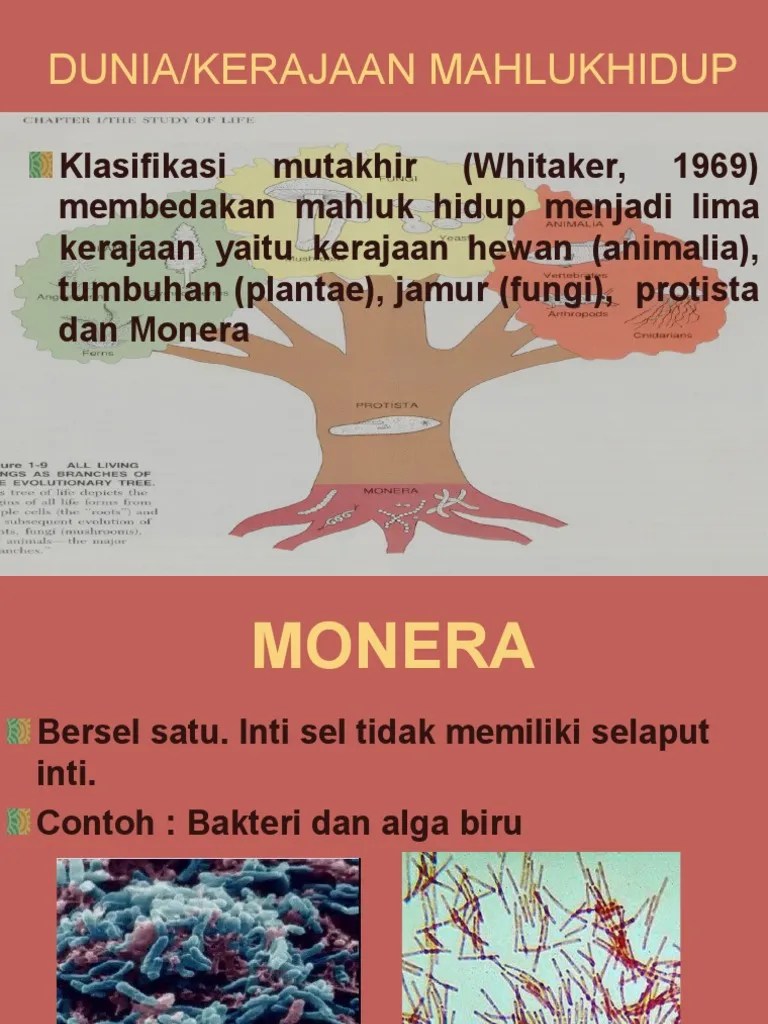 PEMANTAPAN DUNIA MH | PDF