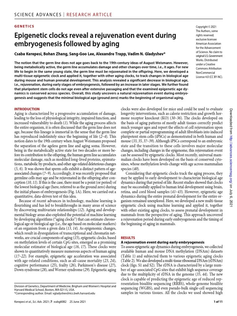 Clocks Reveal A Rejuvenation Event During Embryogenesis