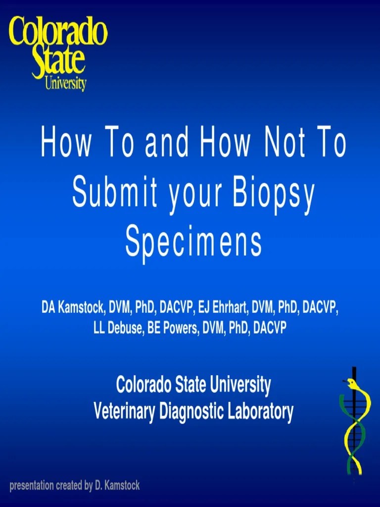 How To and How Not To Submit Biopsy Specimens PDF Pathology Biopsy
