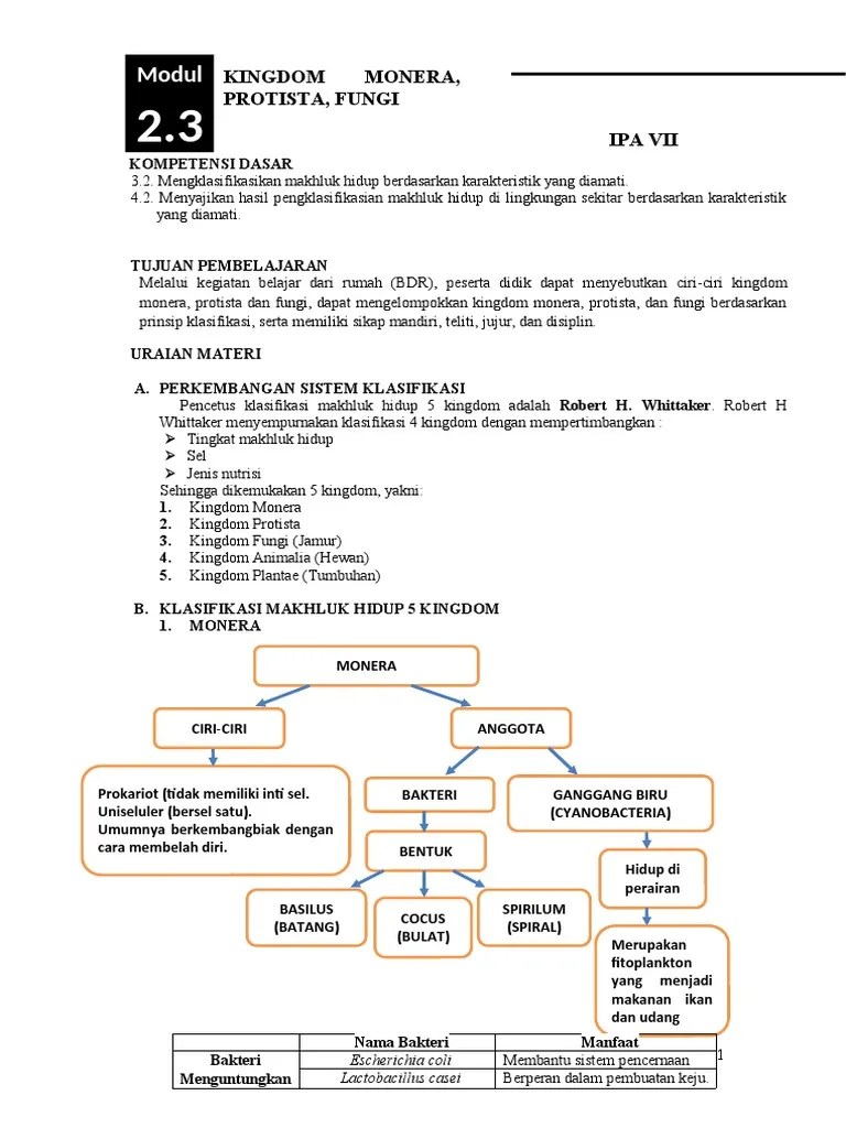 Modul 2.3 Kingdom MONERA, PROTISTA, FUNGI | PDF