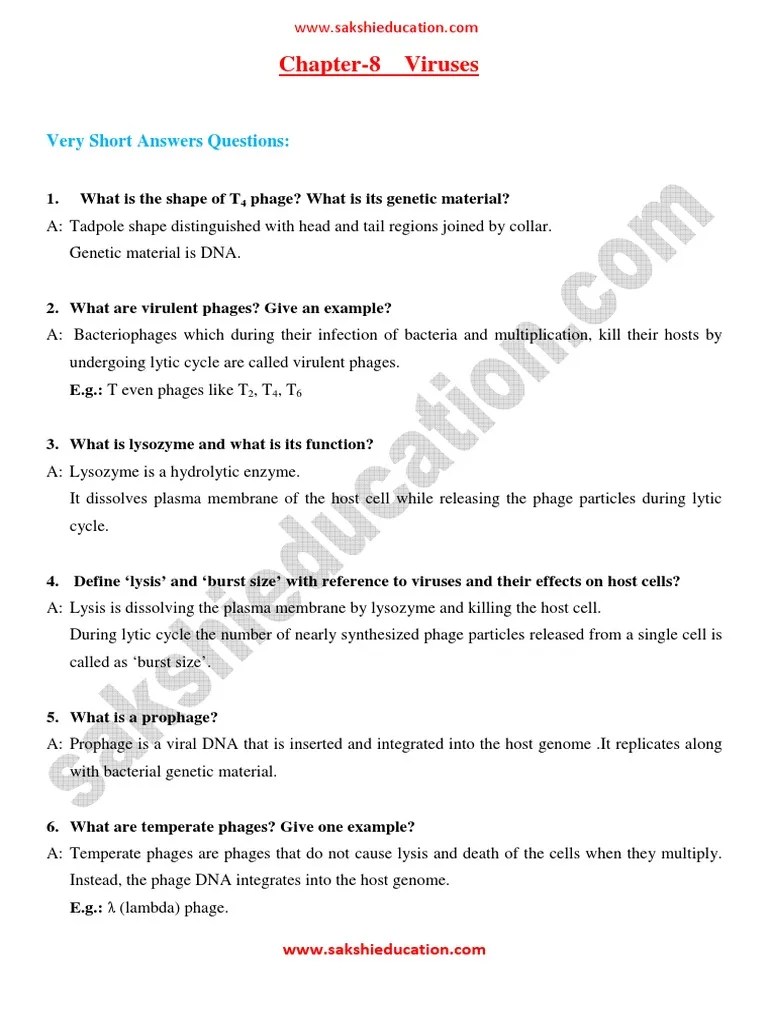 Chapter8 Viruses Very Short Answers Questions PDF Bacteriophage