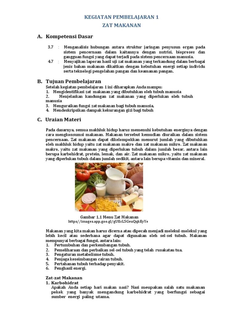 Modul Zat Makanan | PDF