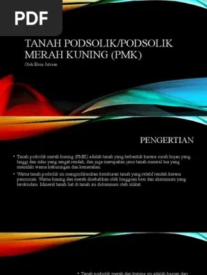 Tanah Podsolik | PDF