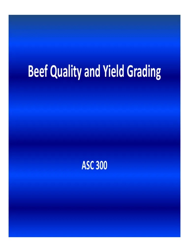 Beef Quality and Yield Grading PDF Animal Products Meat