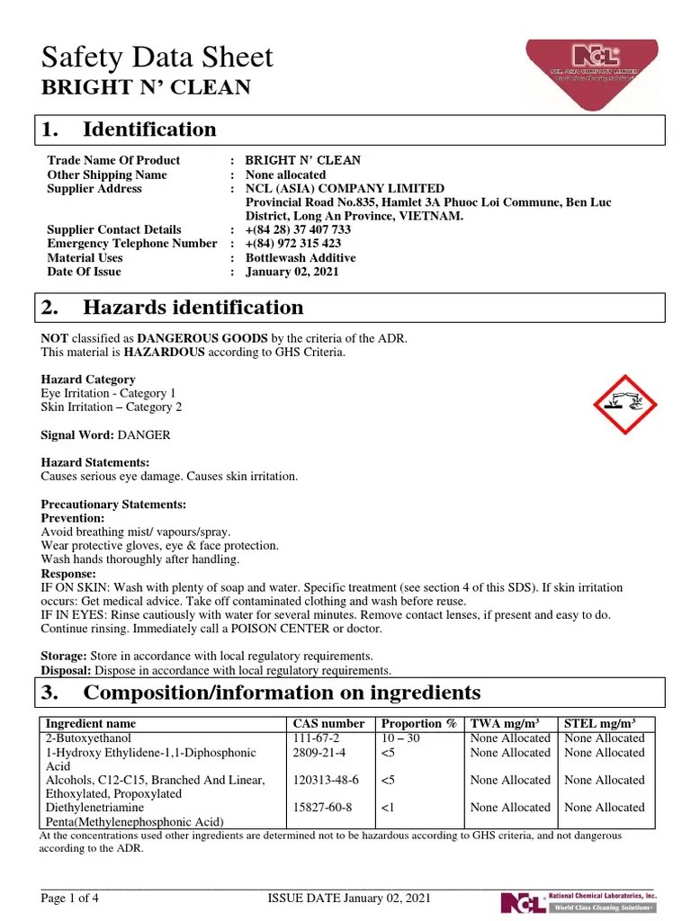 BRIGHT N' CLEAN Safety Data Sheet (SDS) 2021 ENG PDF Personal