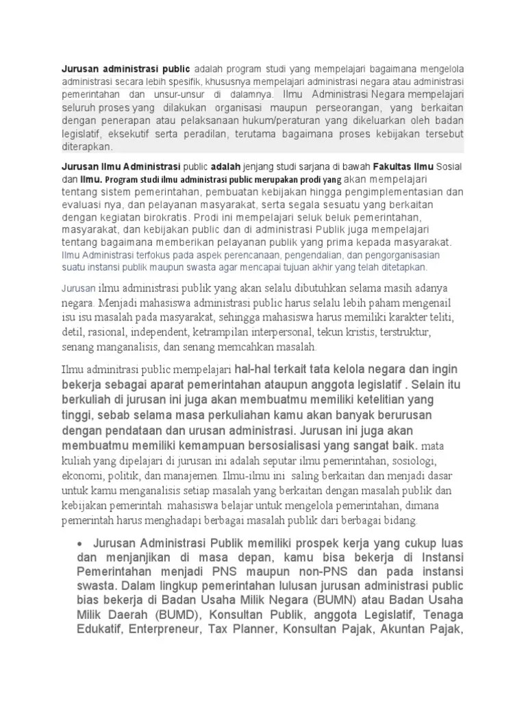 Essay Administrasi Publik | PDF
