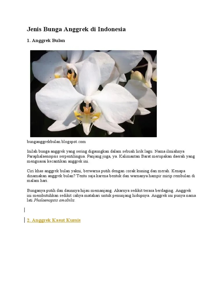 Anggrek Hitam Lirik Chord