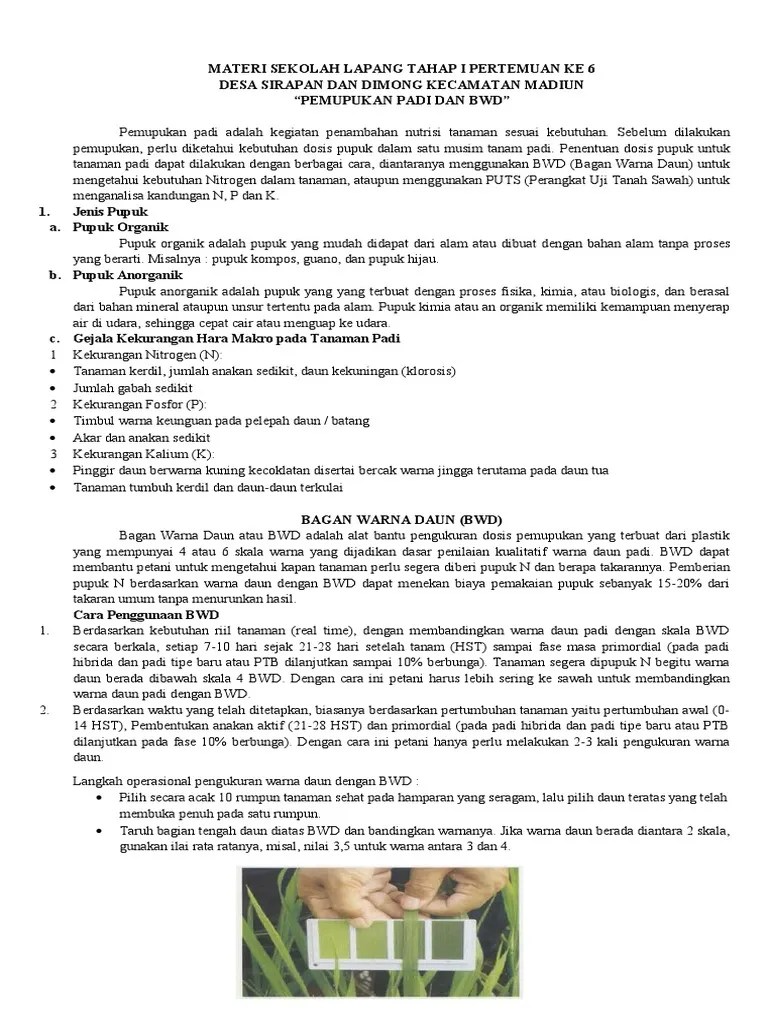 Materi Sekolah Lapang - 6.pemupukan Dan BWD | PDF