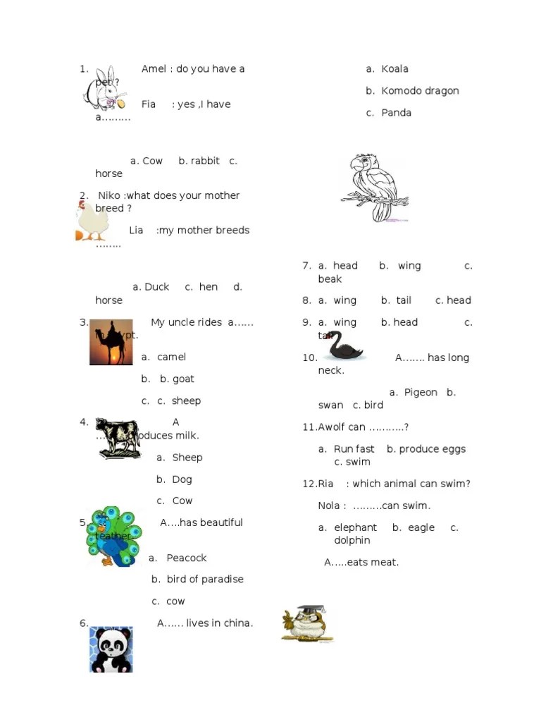 Soal Bahasa Inggris Animal | PDF | Animals And Humans | Nature