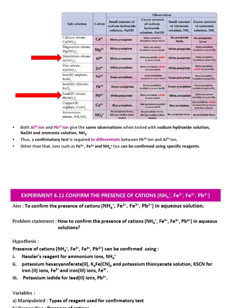 Confirmatory Test For Cations PDF Ammonium Precipitation (Chemistry)