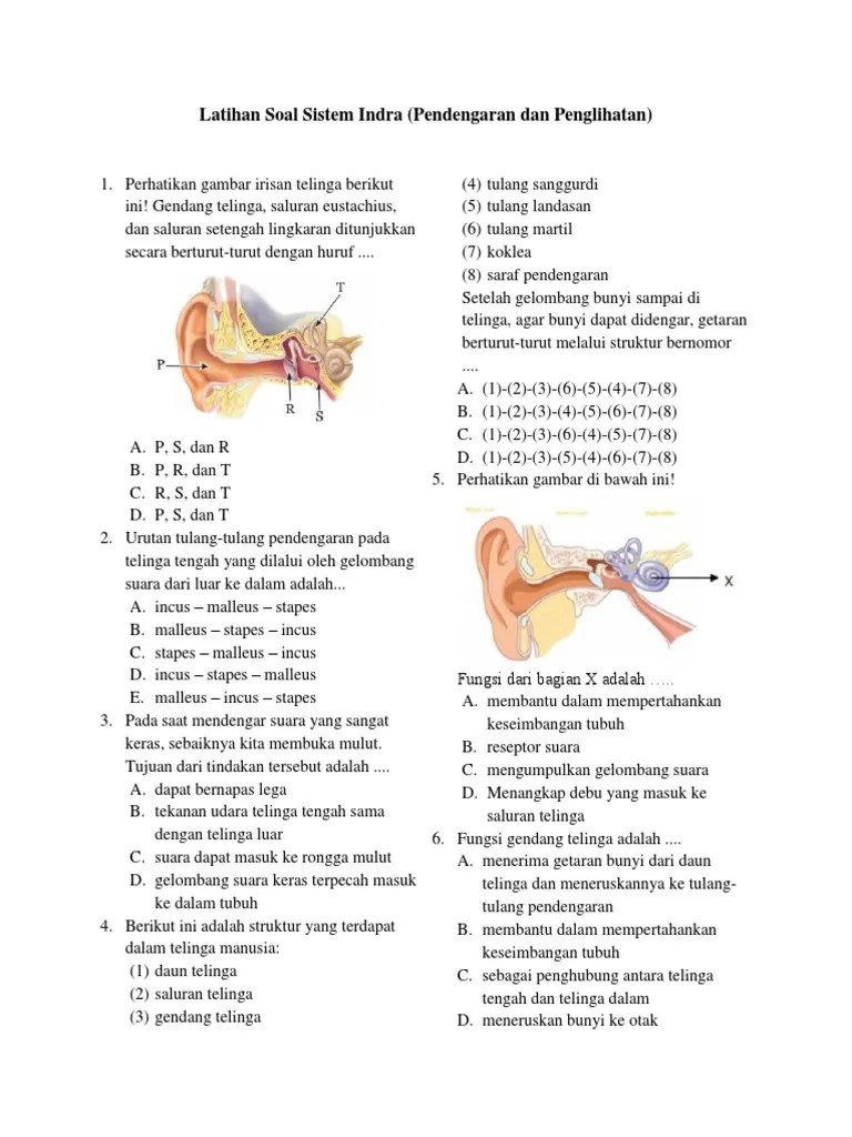 2 Latihan Soal Sistem Indra | PDF