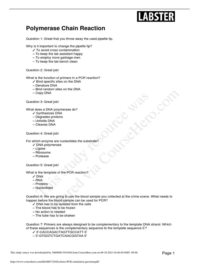 Labster PCR Simulation Questions PDF Primer (Molecular Biology) Polymerase Chain Reaction