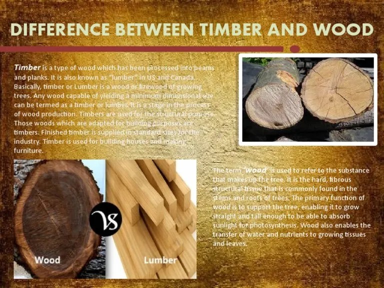 Difference Between Timber and Wood PDF