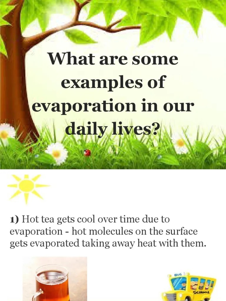 Examples of Evaporation in Our Daily Lives PDF