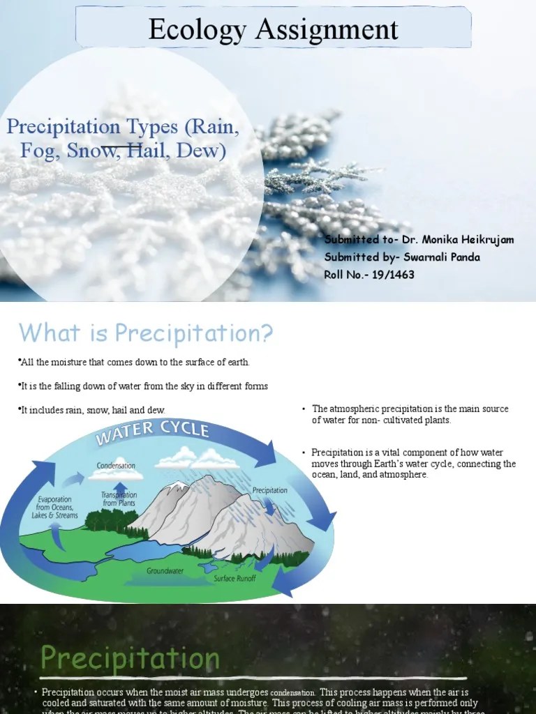 Ecology Assignment Precipitation Types (Rain, Fog, Snow, Hail, Dew