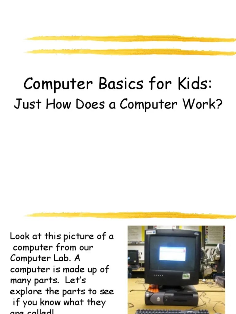 Computer Basics For Kids Just How Does A Computer Work? PDF