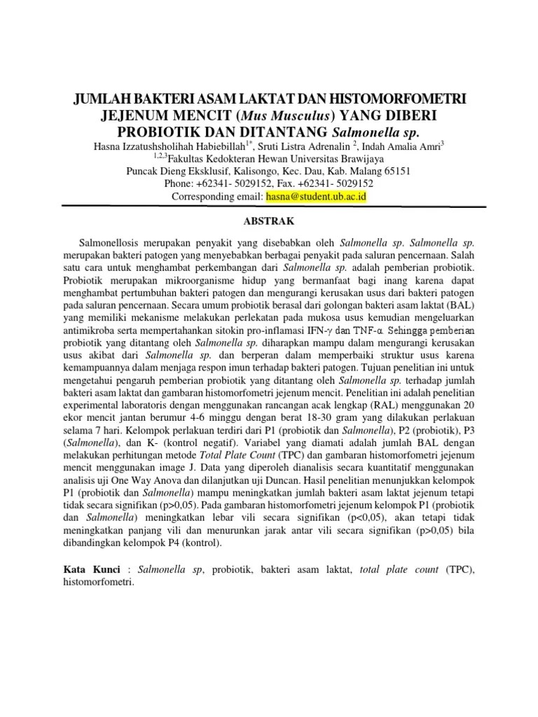 Artikel Ilmiah Hasna Skripsi | PDF