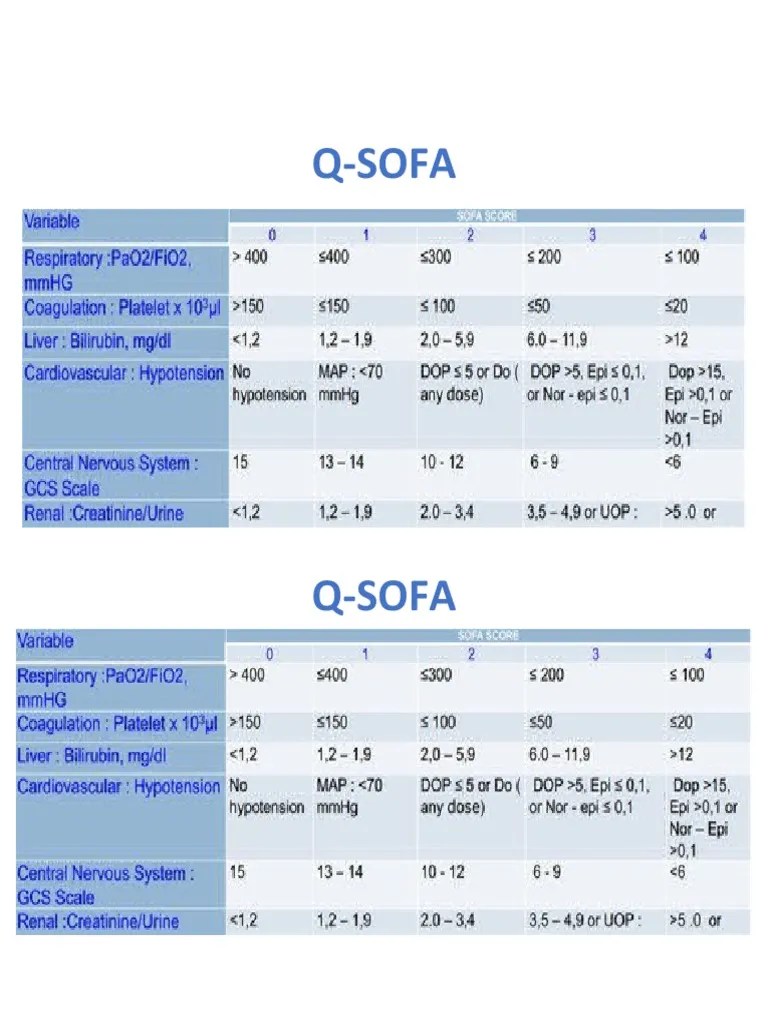 Qsofa Print PDF