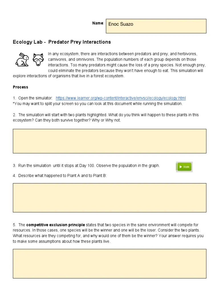 Lab 5 PredatorPrey Relations PDF Predation Herbivore