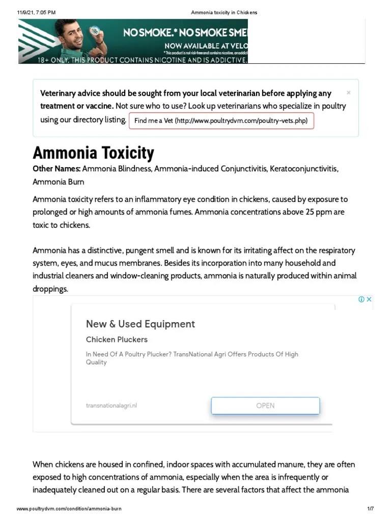 Ammonia Toxicity in Chickens PDF Ammonia Poultry Farming