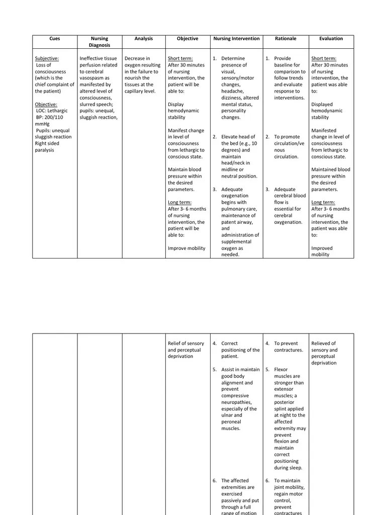 NCP CVA Anatomical Terms Of Motion Hemodynamics